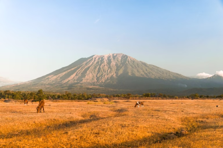 6 Daftar Tempat Wisata Viral di Tiktok 2025 yang Menarik