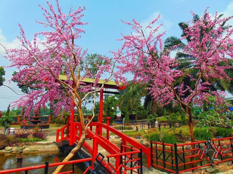 Destinasi Wisata Purbalingga, Ada Taman Bunga yang Cantik Cocok Buat Anak Liburan
