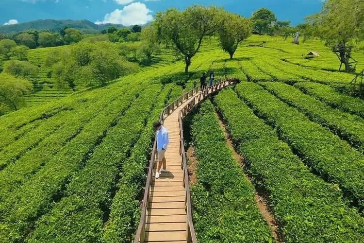 3 Rekomendasi Wisata Malang Buat yang Butuh Healing