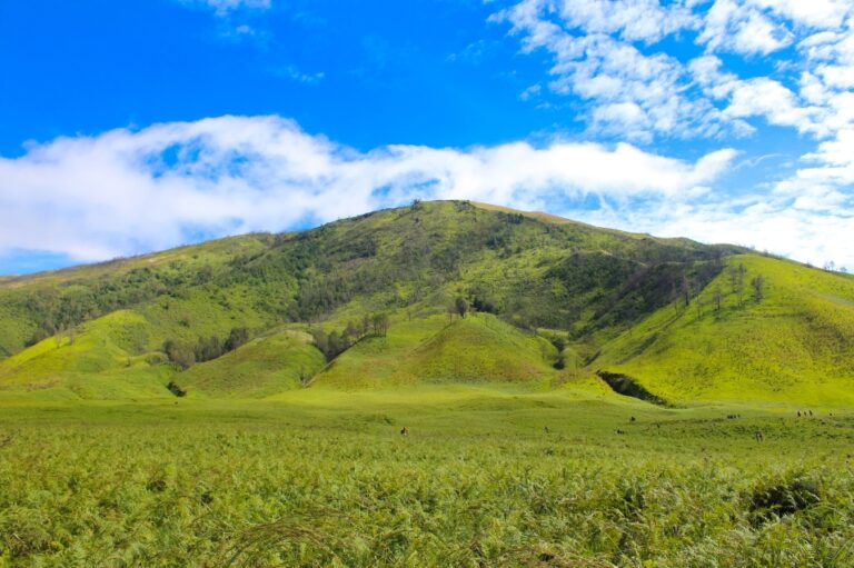 5 Destinasi Wisata di Brebes yang Eksotik dan Memuaskan Hati