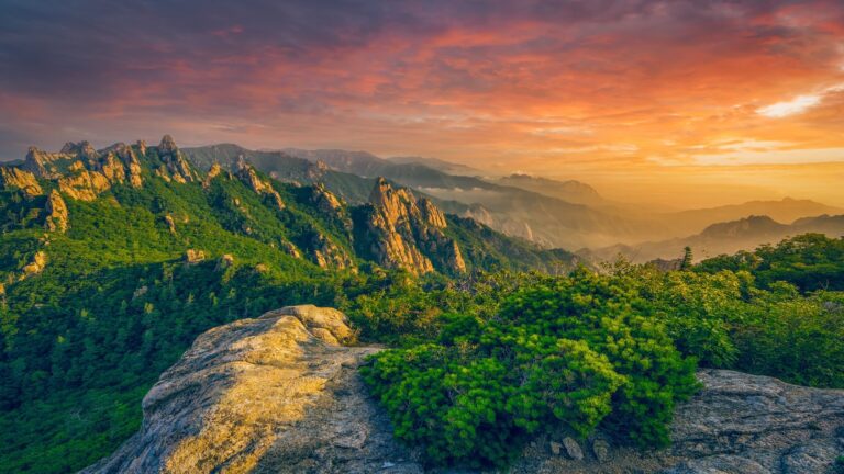 4 Tempat Terbaik di Korea Untuk Menikmati Indah nya Musim Gugur