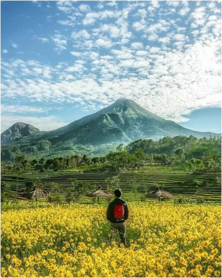 Wisata Kampung Organik Brenjonk Trawas ala Hokkaido Kaki Gunung Penanggungan