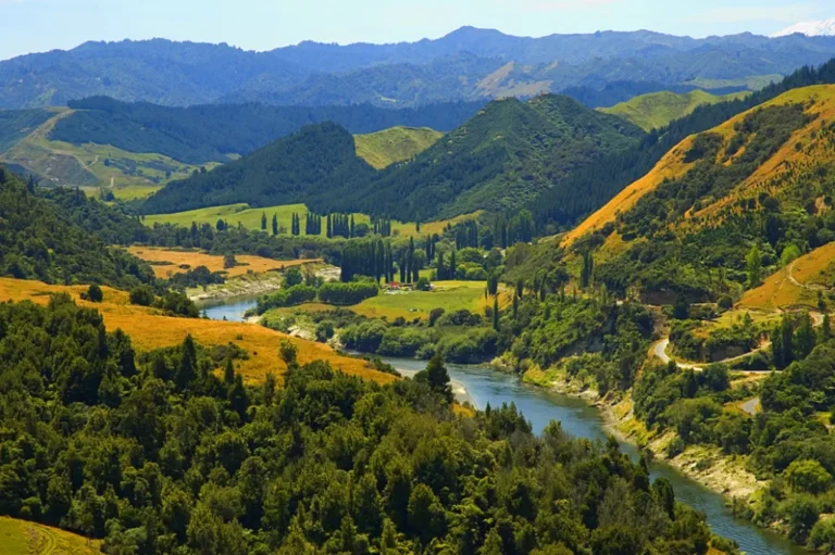 Menjelajahi Selandia Baru, Dunia Trilogi Middle-Earth yang Hidup di Dunia Nyata