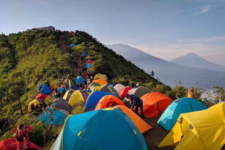 5 Aktivitas Wisata di Taman Nasional Gunung Gede Pangrango yang Anti Gagal