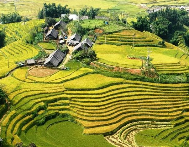 3 Wisata Alam Di Sapa Vietnam ktivitas Untuk Kunjungan Pertamamu