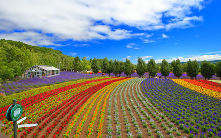 3 Wisata Alam di Hokkaido yang Serba Cantik dan Menawan