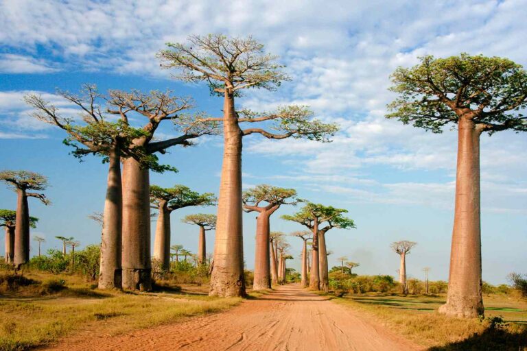 5 Negara dengan Wisata Unik yang Jarang Dikunjungi Turis