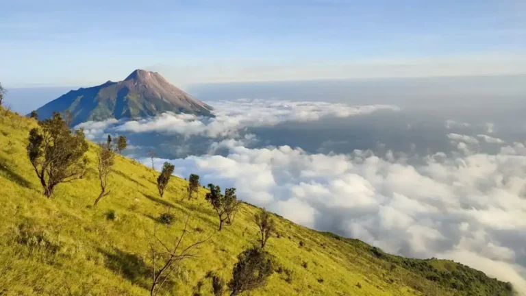 Wisata Malam di Solo Berikut 7 Tempat yang Menarik untuk Dijelajahi