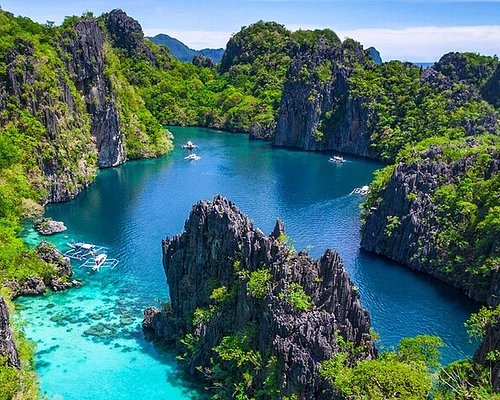 Spot Diving Terbaik di Filipina Surga Bawah Laut yang Wajib Masuk Bucket List Kamu!