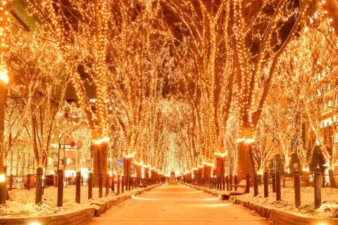 5 Festival Iluminasi Terindah di Jepang untuk Liburan Musim Dingin yang Tak Terlupakan